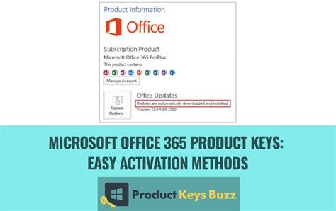 Microsoft Office Keys & Licenses | Complete Professional Suite 2025